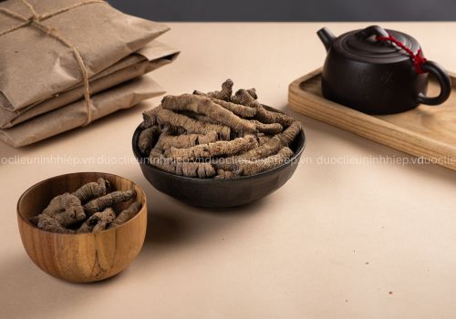 BA KÍCH CHÍCH MUỐI - DƯỢC LIỆU NINH HIỆP